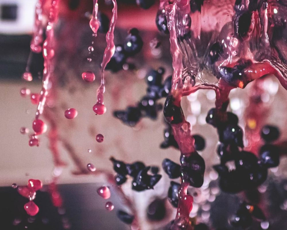 host a wine tasting at home