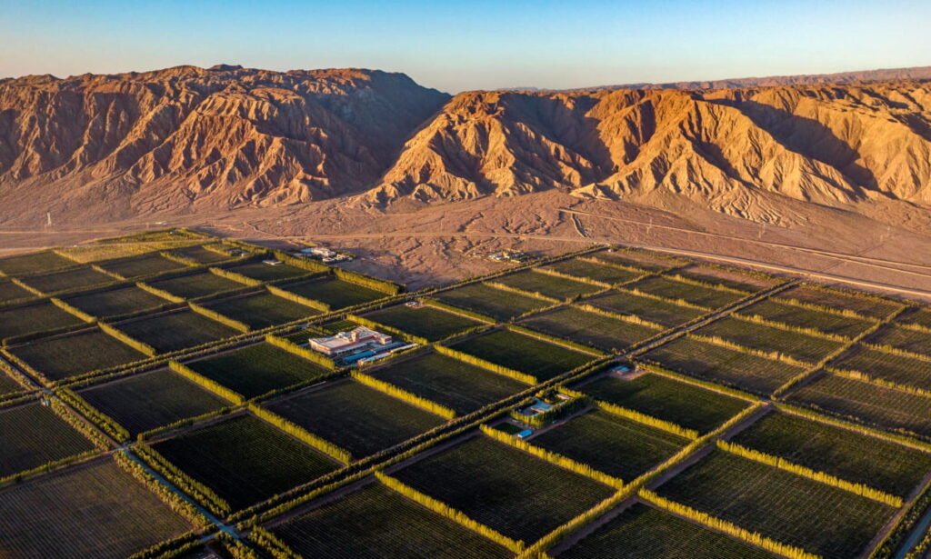 Chinese wines from Xinjiang
