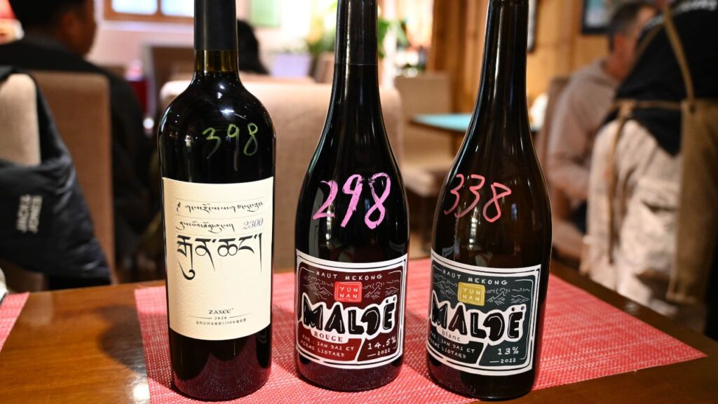 vins chinois dégustés pendant le voyage de Vanessa, fondatrice de Weeno