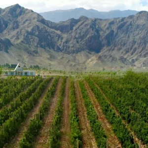 Les Vins du Monde - à Paris