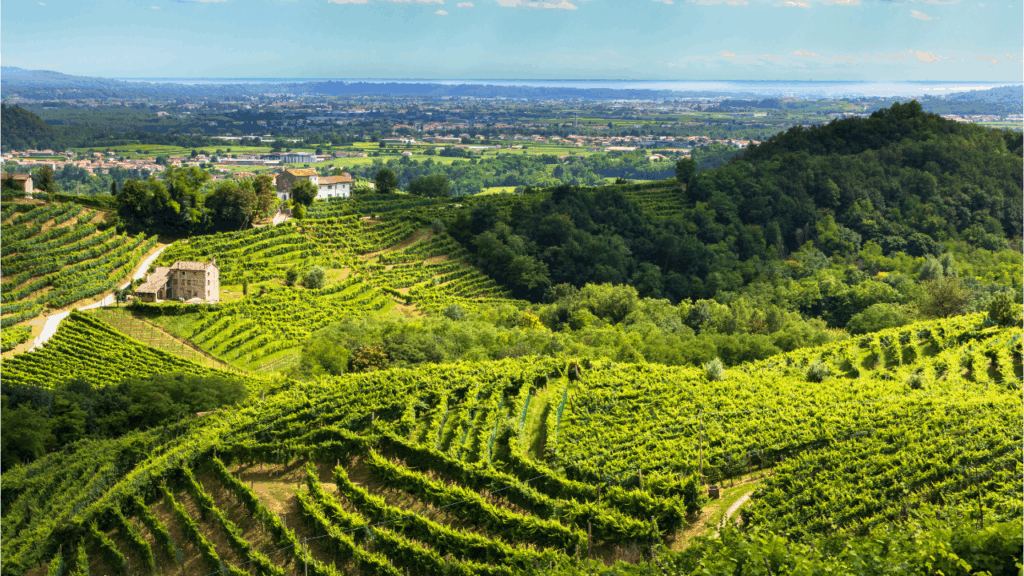 history of Prosecco 