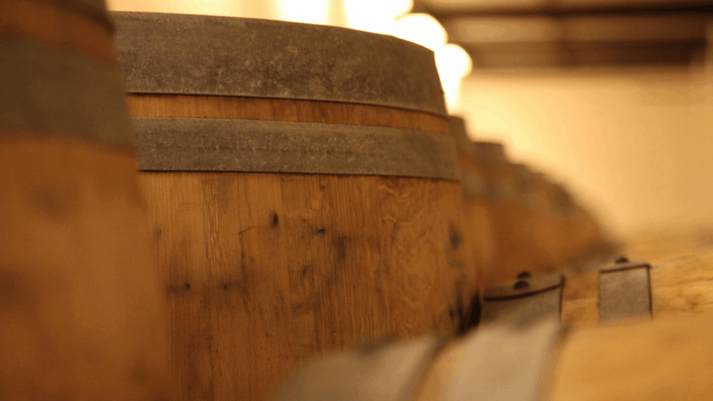 vieillissement du vin : se former