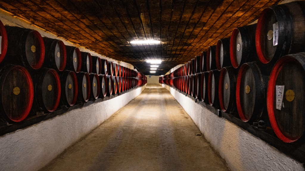 vieillissement du vin en fûts de chêne