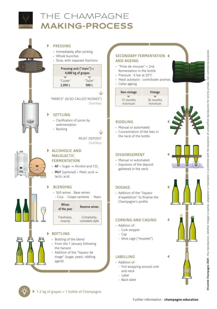 Champagne winemaking steps
