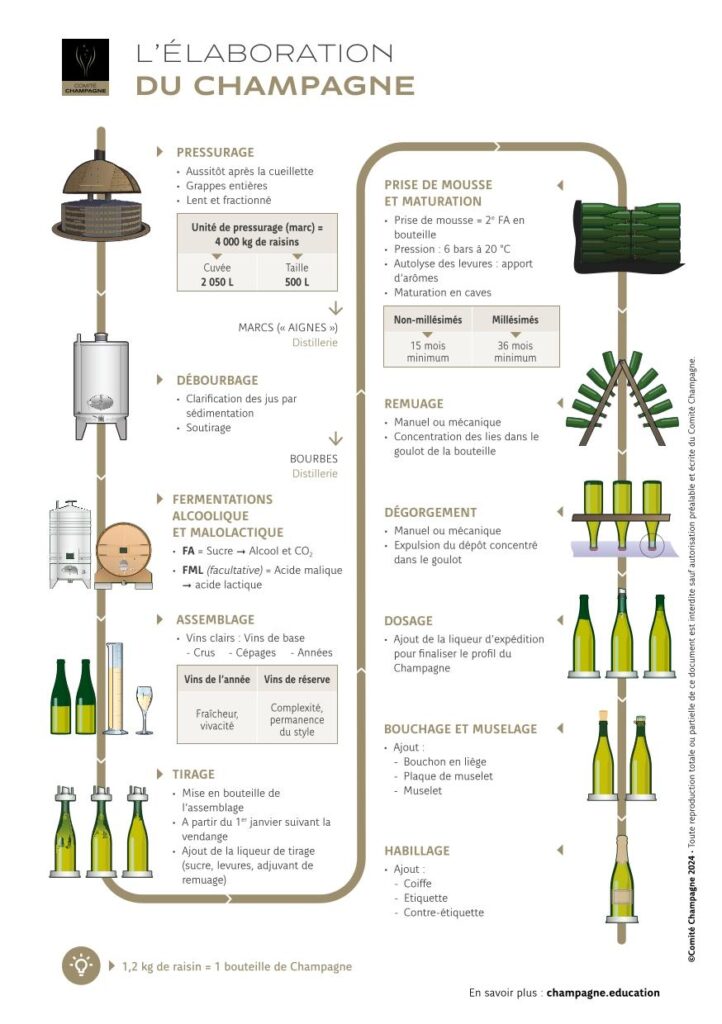 processus d'élaboration du Champagne