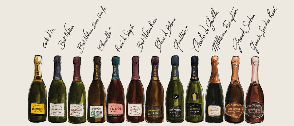 sélection de Champagne chez Drappier