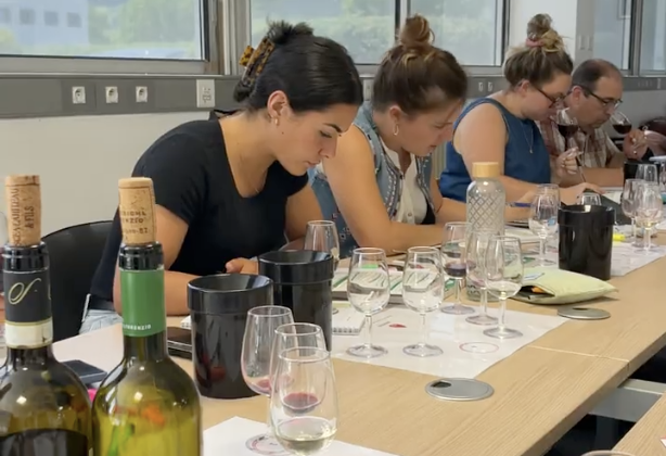 WSET corporate training program - level 2 at Vinatis