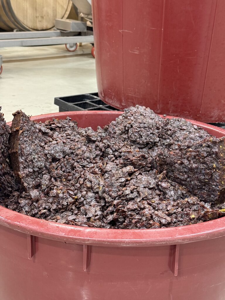 raisins botrytisés pour le tokaji aszu