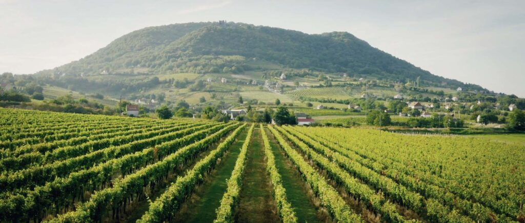 région de Somlo pour les vins hongrois