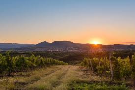 région de Eger pour les vins hongrois