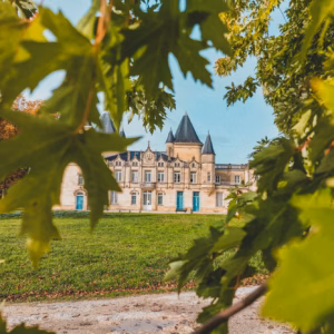 Hidden Gems from Small Bordeaux Producers