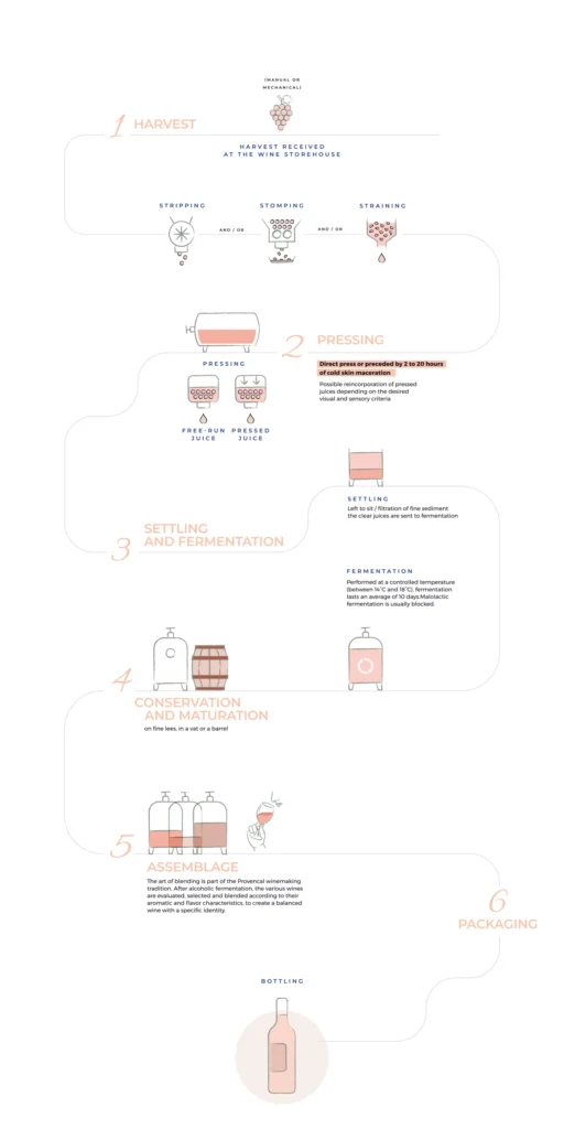 winemaking of rosés and Provence