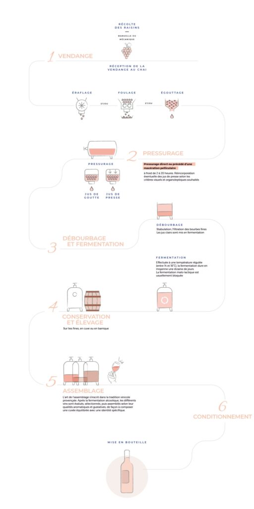 élaboration du rosé de Provence