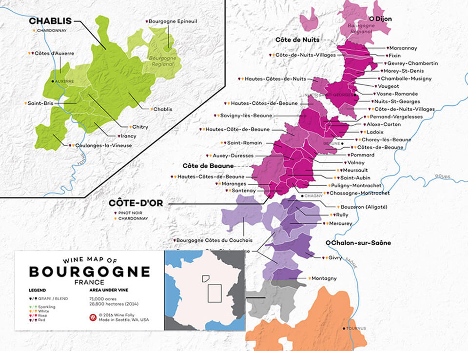 Pinot Noir in Burgundy