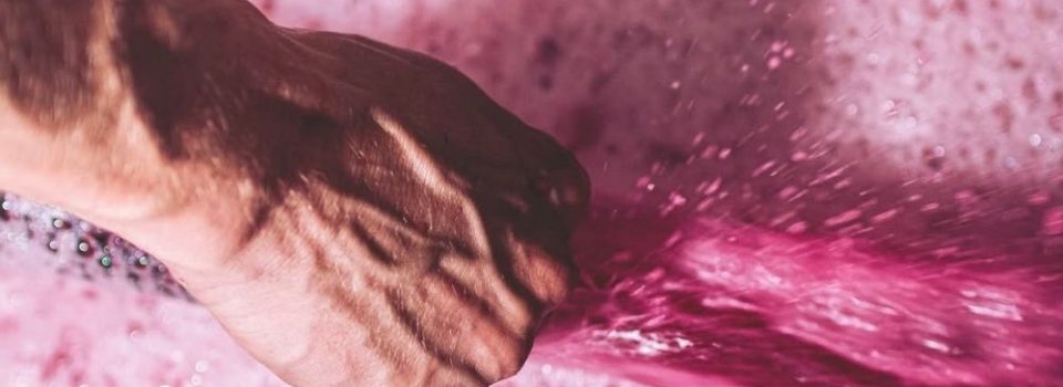 WSET 2 vins en ligne