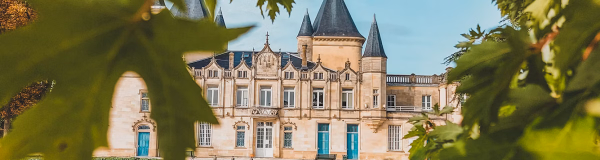 bordeaux-chateau-tree
